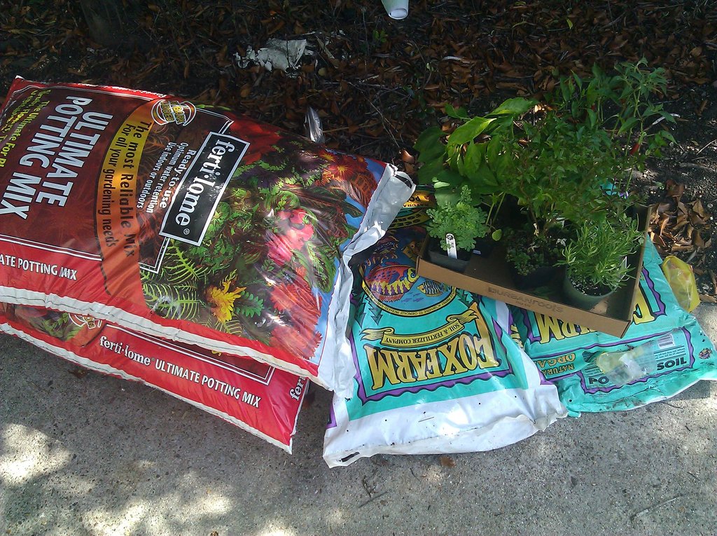 Organic soil and young plants.  By the time I was ready to plant, it was too late in the season to start from seeds, and I wanted to take gardening one step at a time.